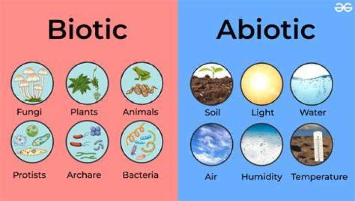 Are feces biotic or abiotic?