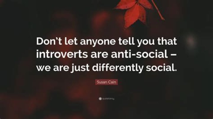 Are introverts anti social?
