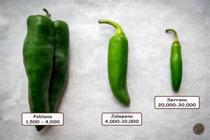 Are serrano peppers spicy?