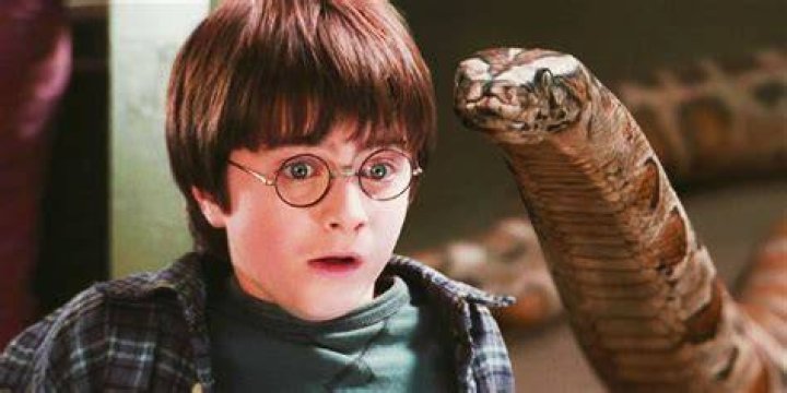 Can harry potter talk to snakes?