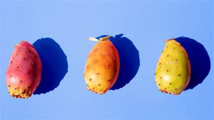 Can you eat barbary fig?