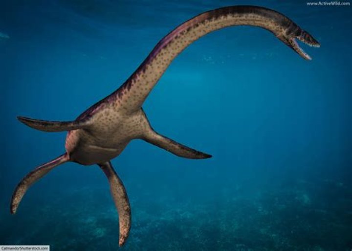 Could mosasaurs breathe underwater?