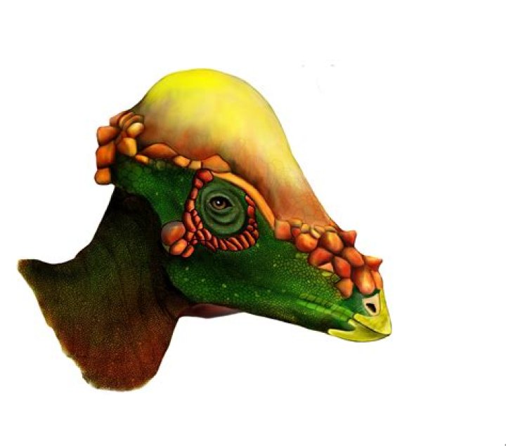 Did pachycephalosaurus eat meat?