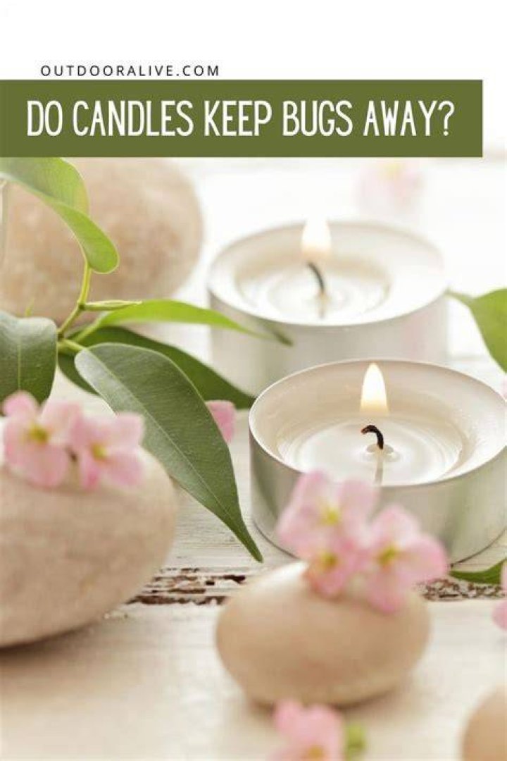 Do candles keep bugs away?