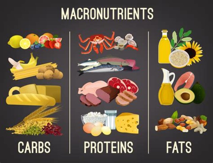 Do carbs make you fat?