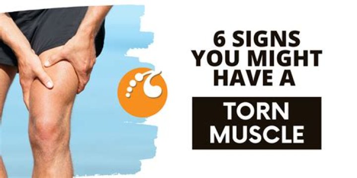 Do torn muscles heal on their own?