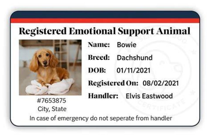 Does dog rose need support?