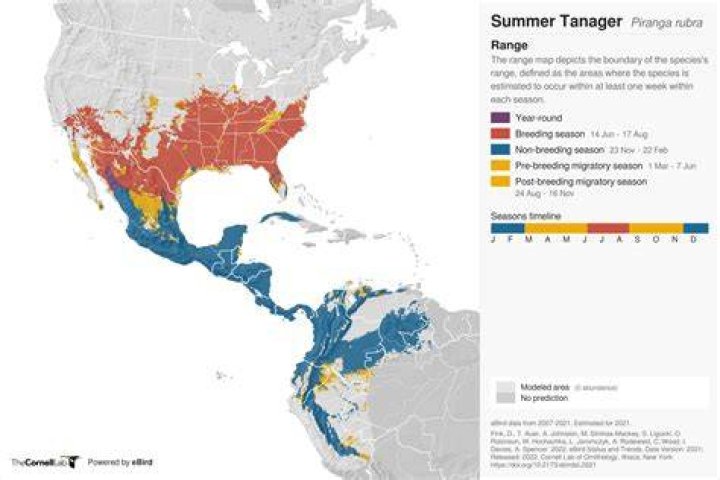 Does the summer tanager live in the rainforest?