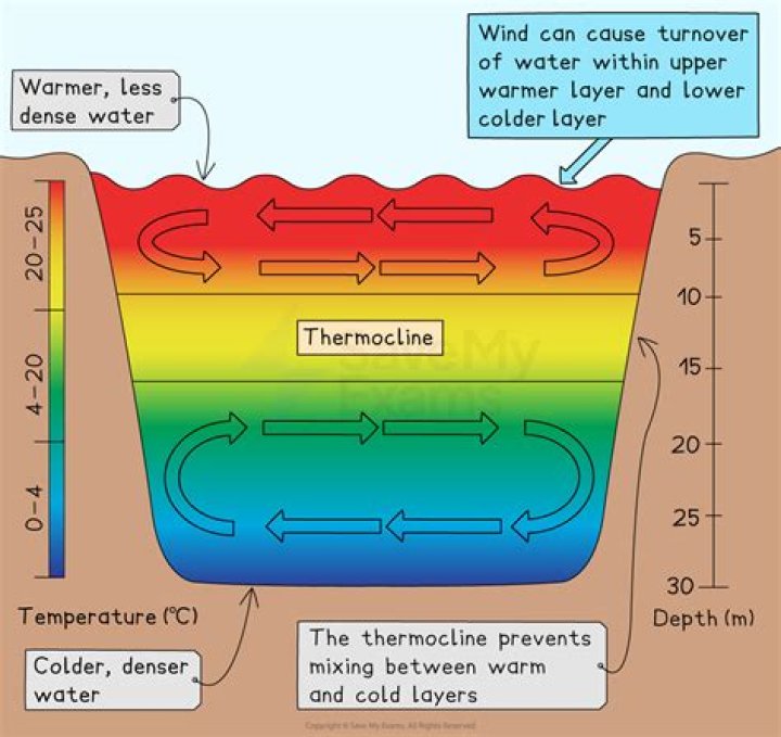 How are thermoclines haloclines and pycnoclines different?