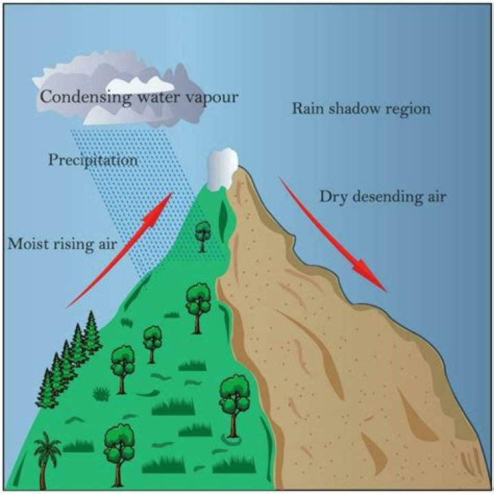 How does the rain shadow effect impact climates?