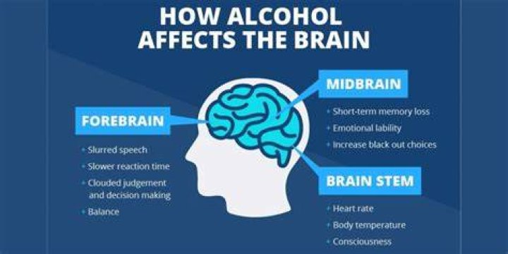 How drinking affects the brain?
