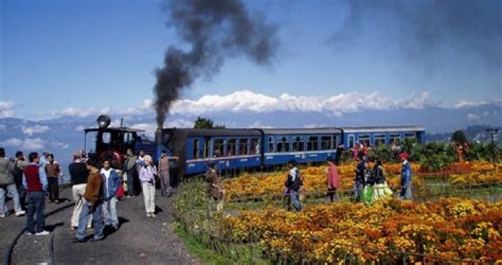 How is darjeeling tea made?
