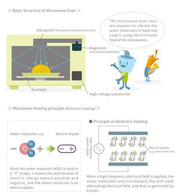 How microwaves work physics?