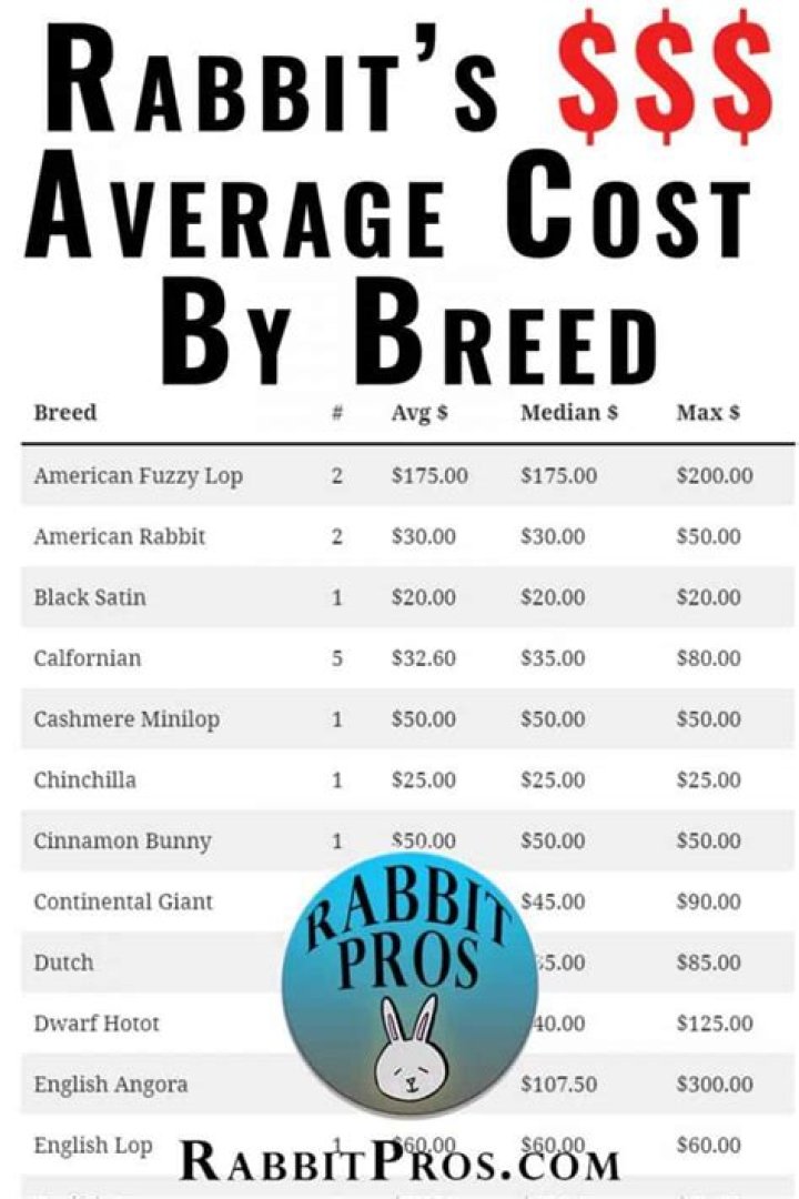 How much do rabbits cost?