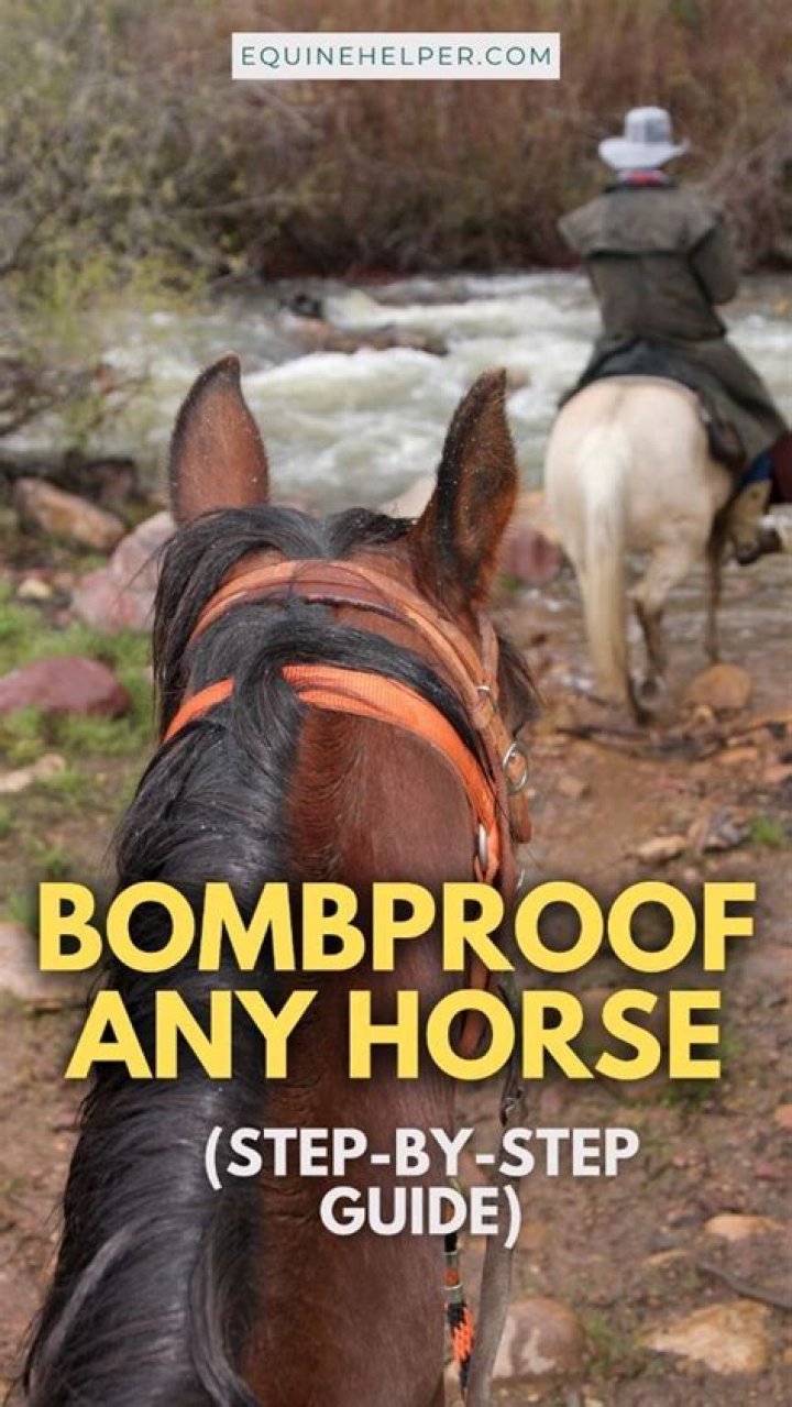 How to make your horse bombproof?