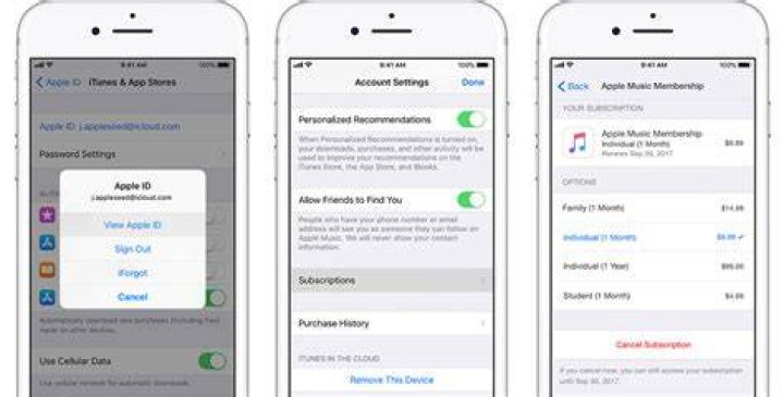 How to unsubscribe apple music?