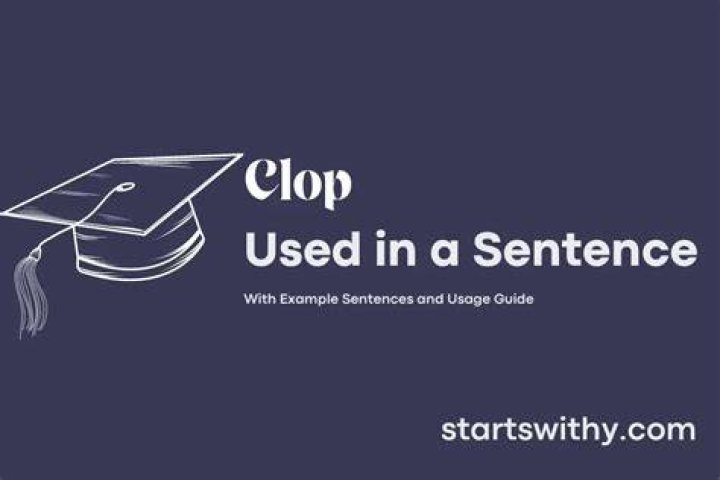 How to use clip-clop in a sentence?
