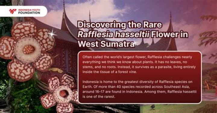In which country rafflesia found?