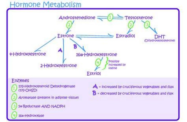 Is androgen good or bad?
