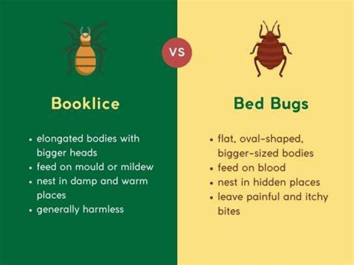 Is booklice harmful to humans?
