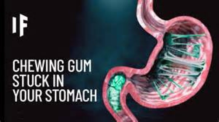Is gum safe to swallow?