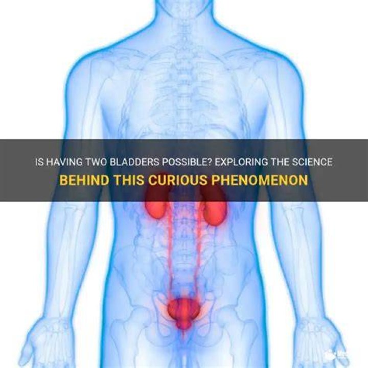 Is it possible to have two bladders?