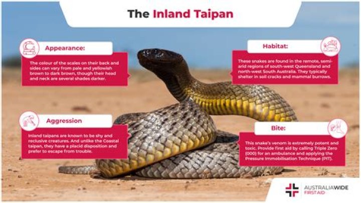 Is taipan a true story?