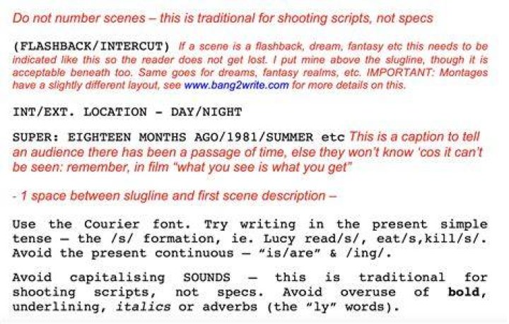 Should i italics flashback?