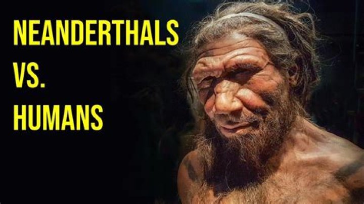 Were neanderthals taller than humans?