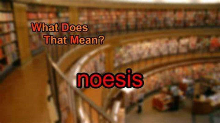What does noesis mean in greek?