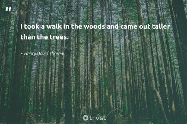 What does the woods are astir mean?