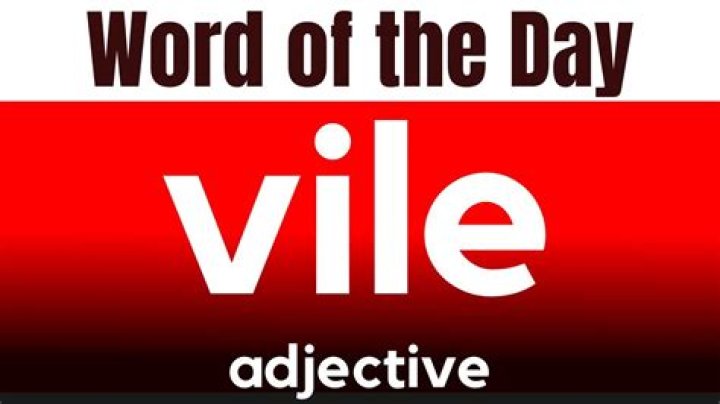 What does vlei mean in english?