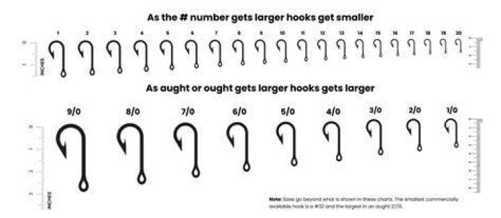What hook size for trout?