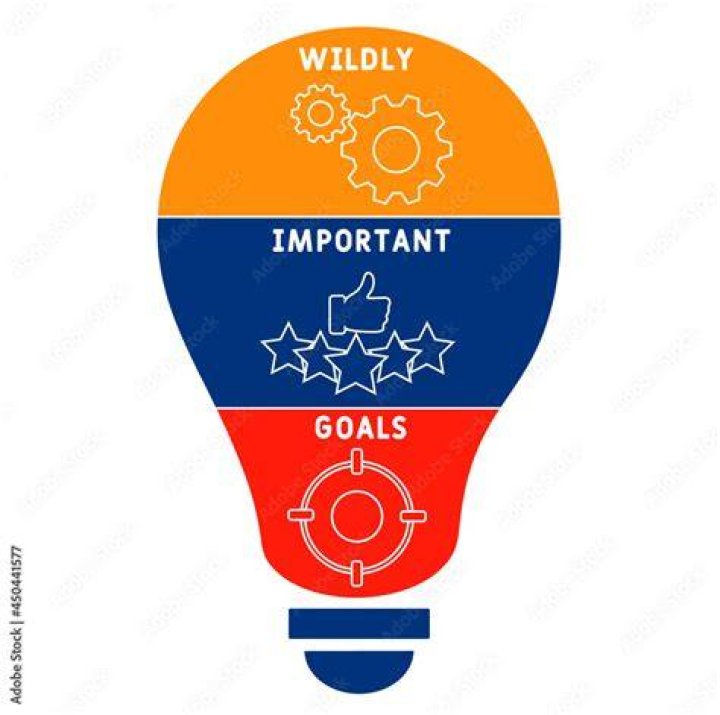 What is a wig wildly important goal?