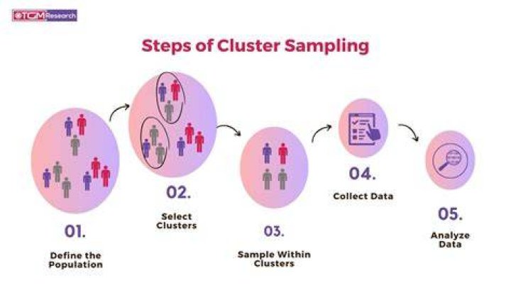 What is an example of cluster sampling?