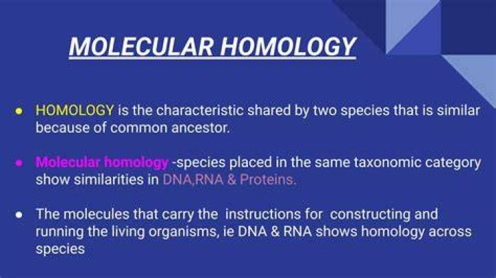 What is molecular homology?
