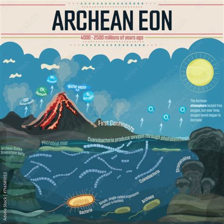 What plants lived during the Archean eon?