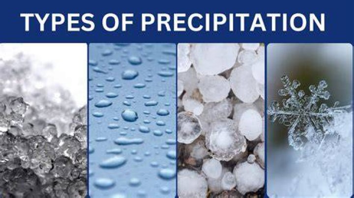 What precipitation percent means?