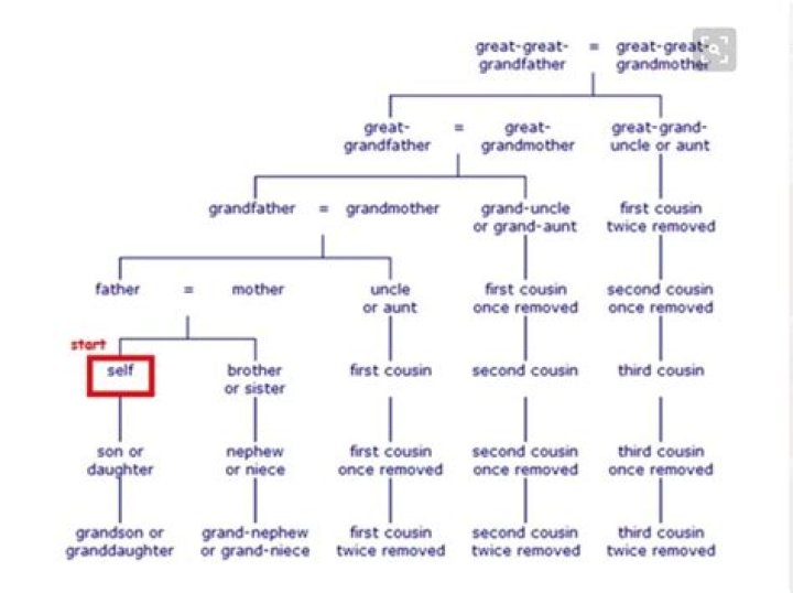 Whats a 1st cousin twice removed?