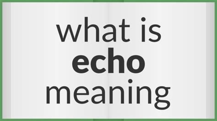 Whats a synonym for echoed?