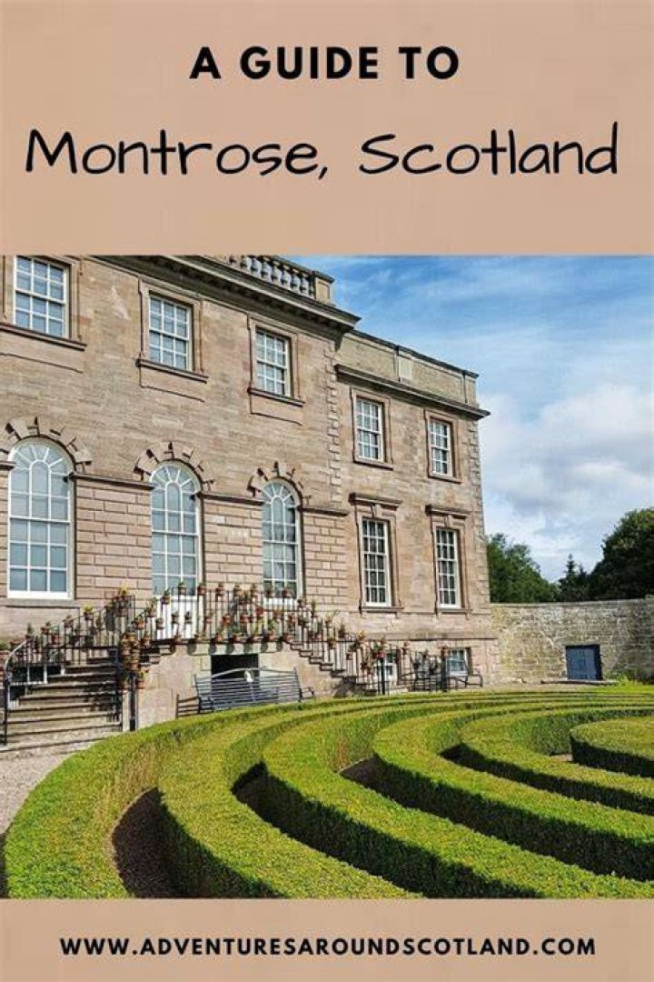 Whats to do in montrose?