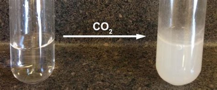 When carbon dioxide reacts with lime water?