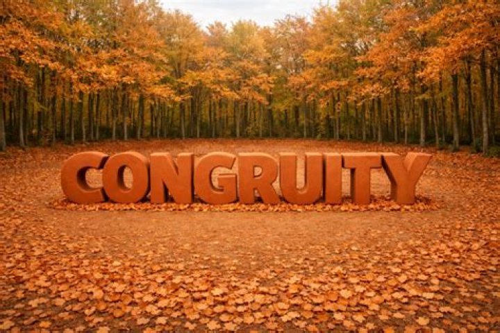 Where did the word congruity come from?