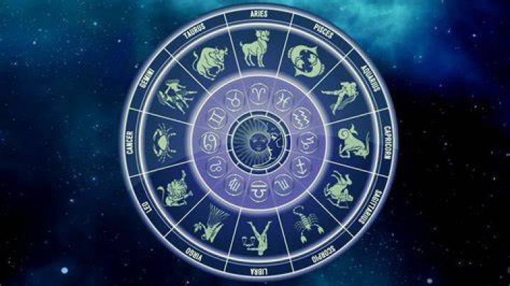 Where does the word shoat come from?