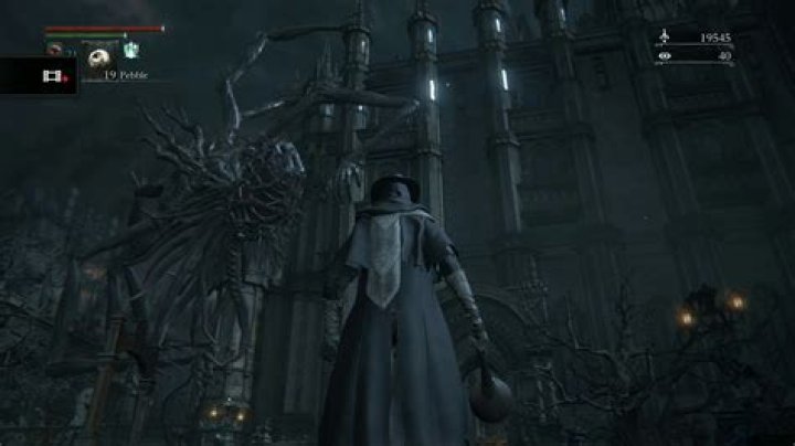 Where is amygdala located bloodborne?