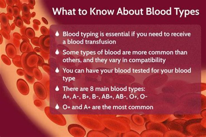 Where is b blood type from?