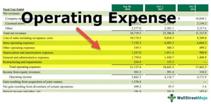 Which account does all expenses and losses?