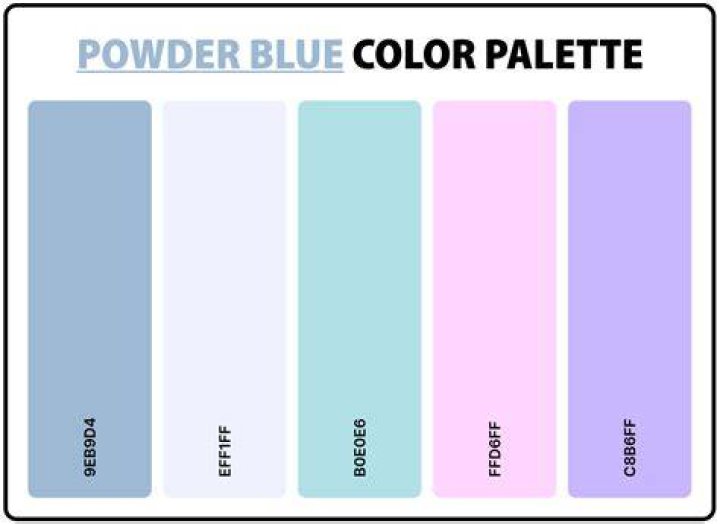 Which colour goes with powder blue?