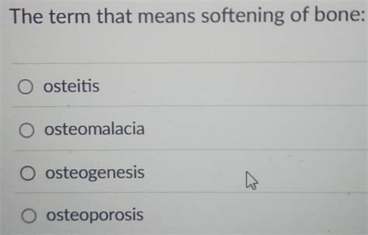 Which term means softening of bones?