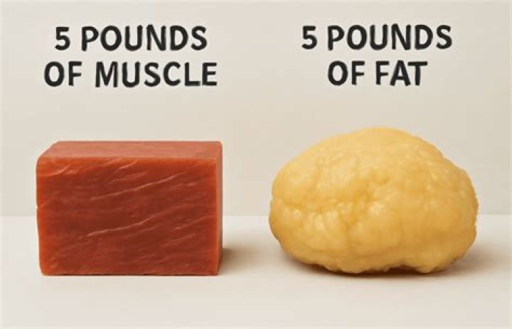 Which weighs more muscle or fat?